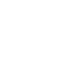 ویزای نیروی متخصص